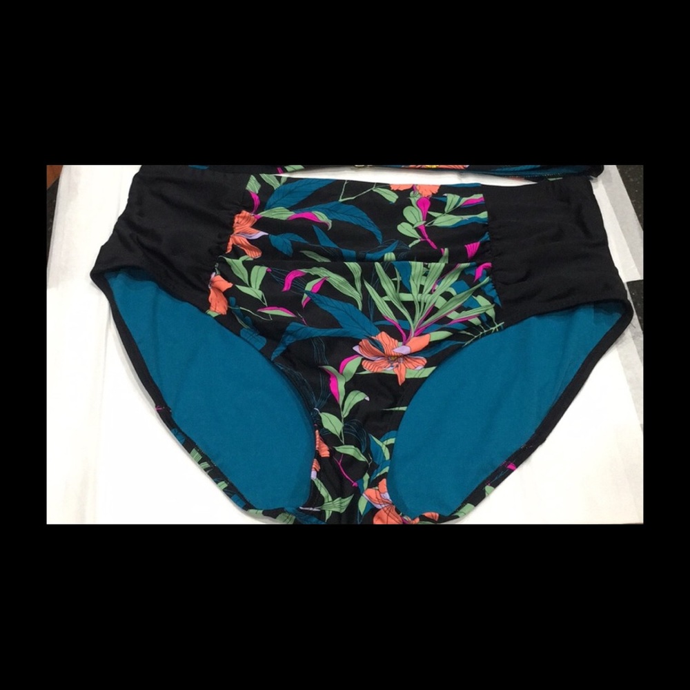 Terra & Sky bikini bottoms never worn 2x